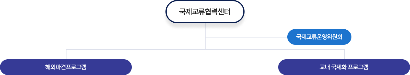 국제교류협력센터 조직도와 운영목표에 대한 이미지로 자세한 설명 시작. 국제교류협력센터의 하위조직은 국제교류운영위원회로 구성. 국제교류협력센터의 주요 업무로 해외파견프로그램, 교내 국제화 프로그램을 운영중. 이미지표에 대한 설명 끝.